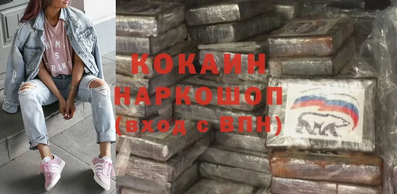 Cocaine FishScale  купить  цена  Ладушкин 